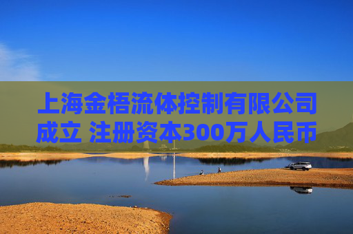 上海金梧流体控制有限公司成立 注册资本300万人民币