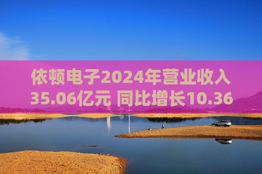 依顿电子2024年营业收入35.06亿元 同比增长10.36%  第1张