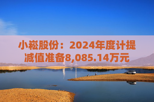 小崧股份：2024年度计提减值准备8,085.14万元