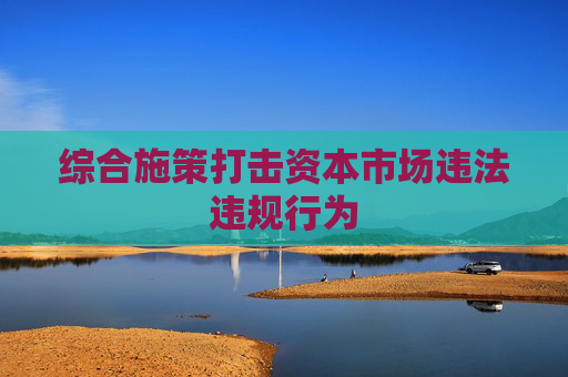 综合施策打击资本市场违法违规行为