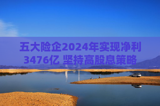 五大险企2024年实现净利3476亿 坚持高股息策略  第1张