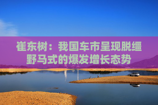 崔东树：我国车市呈现脱缰野马式的爆发增长态势