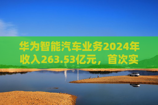 华为智能汽车业务2024年收入263.53亿元，首次实现当年盈利