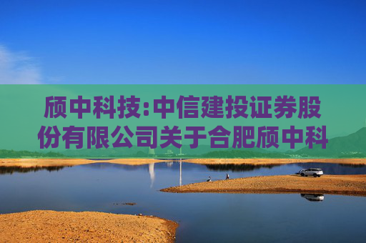 颀中科技:中信建投证券股份有限公司关于合肥颀中科技股份有限公司2024年度募集资金存放与实际使用情况的专项核查报告  第1张