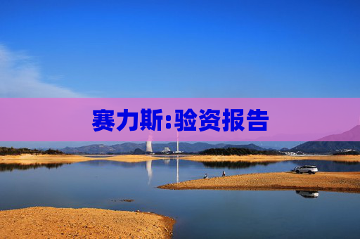 赛力斯:验资报告  第1张