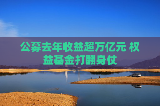 公募去年收益超万亿元 权益基金打翻身仗