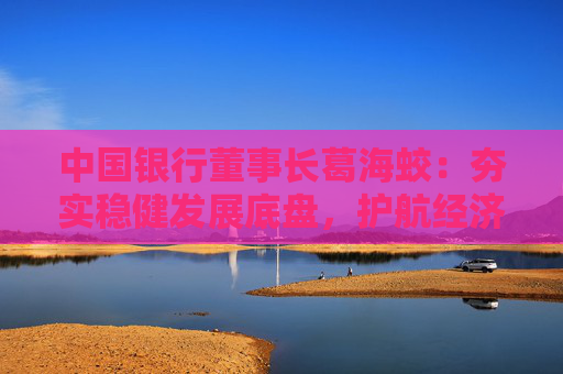 中国银行董事长葛海蛟：夯实稳健发展底盘，护航经济高质量发展