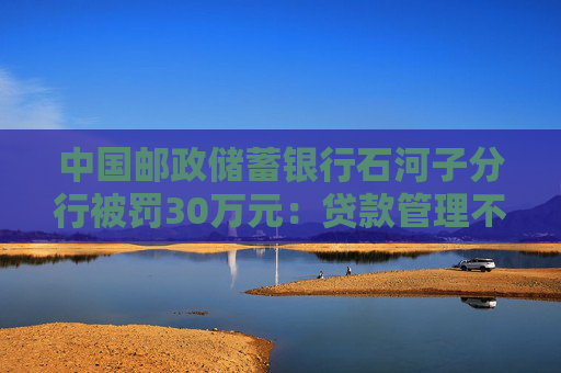 中国邮政储蓄银行石河子分行被罚30万元：贷款管理不到位