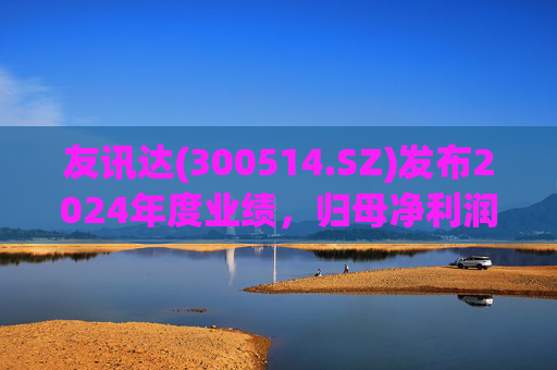友讯达(300514.SZ)发布2024年度业绩，归母净利润1.98亿元，增长3.43%  第1张