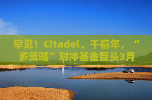 罕见！Citadel、千禧年，“多策略”对冲基金巨头3月继续亏