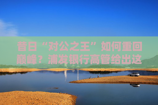 昔日“对公之王”如何重回巅峰？浦发银行高管给出这些打法