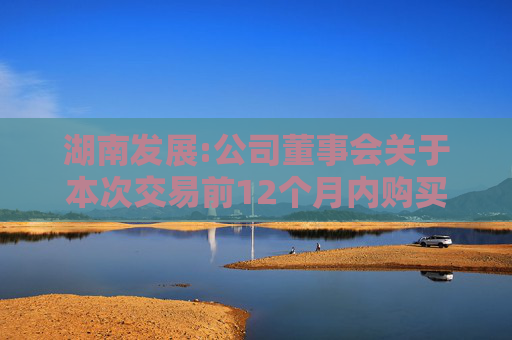 湖南发展:公司董事会关于本次交易前12个月内购买、出售资产的说明  第1张