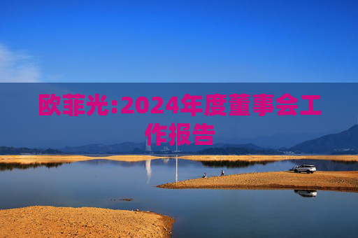 欧菲光:2024年度董事会工作报告