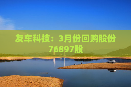 友车科技：3月份回购股份76897股  第1张
