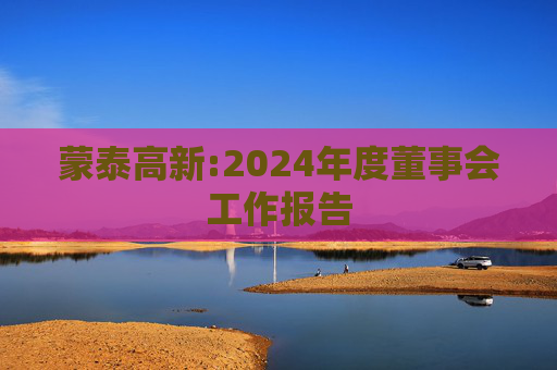 蒙泰高新:2024年度董事会工作报告  第1张