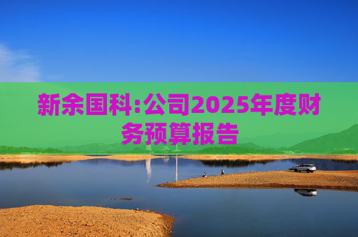 新余国科:公司2025年度财务预算报告