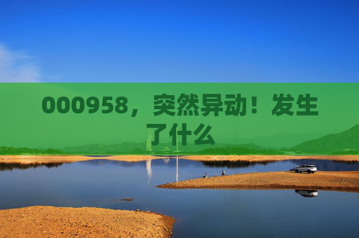 000958，突然异动！发生了什么