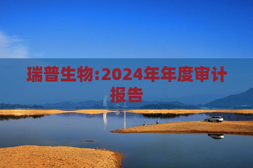 瑞普生物:2024年年度审计报告  第1张