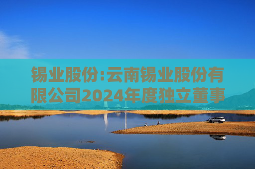 锡业股份:云南锡业股份有限公司2024年度独立董事述职报告（于定明）  第1张