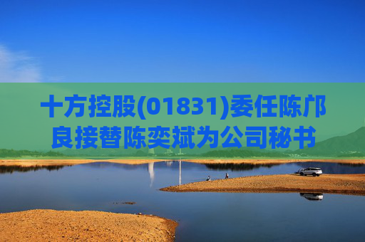 十方控股(01831)委任陈邝良接替陈奕斌为公司秘书