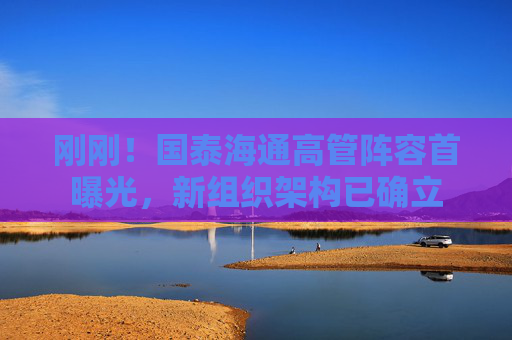 刚刚！国泰海通高管阵容首曝光，新组织架构已确立