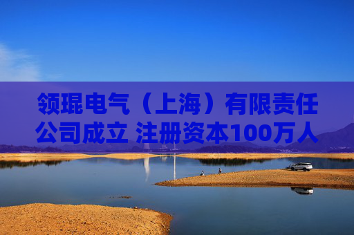 领琨电气（上海）有限责任公司成立 注册资本100万人民币