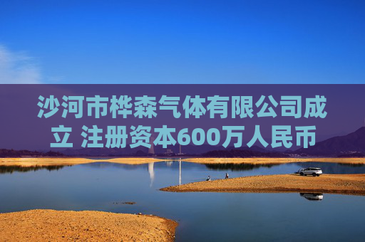 沙河市桦森气体有限公司成立 注册资本600万人民币