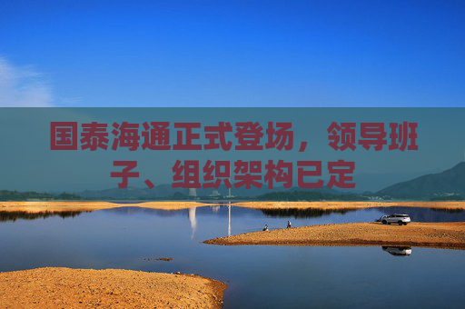 国泰海通正式登场，领导班子、组织架构已定
