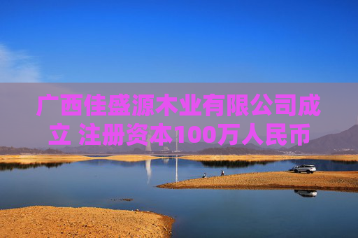 广西佳盛源木业有限公司成立 注册资本100万人民币
