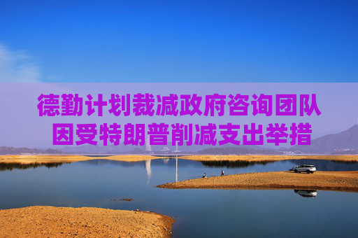 德勤计划裁减政府咨询团队 因受特朗普削减支出举措影响  第1张