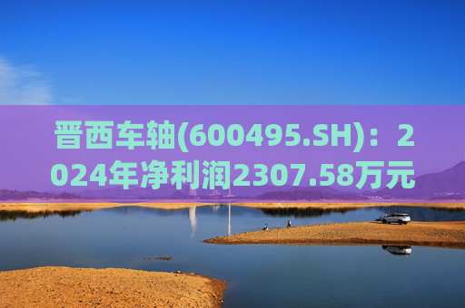 晋西车轴(600495.SH)：2024年净利润2307.58万元 同比增长13.39％