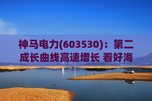神马电力(603530):第二成长曲线高速增长 看好海外订单持续性 第1张 神马电力(603530):第二成长曲线高速增长 看好海外订单持续性 第1张