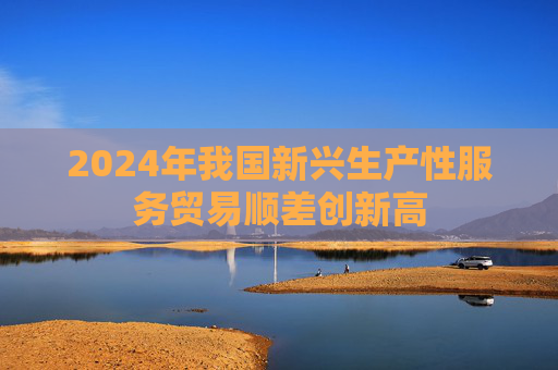 2024年我国新兴生产性服务贸易顺差创新高  第1张
