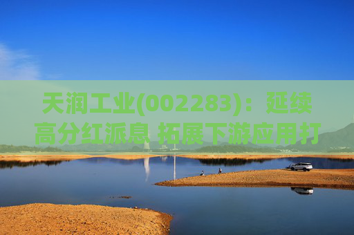天润工业(002283)：延续高分红派息 拓展下游应用打开成长空间
