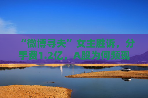“微博寻夫”女主胜诉，分手费1.2亿，A股为何频现天价离婚案？  第1张