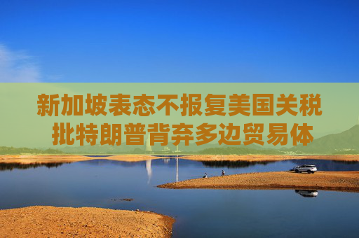 新加坡表态不报复美国关税 批特朗普背弃多边贸易体系  第1张