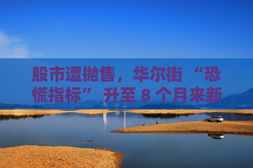 股市遭抛售，华尔街 “恐慌指标” 升至 8 个月来新高  第1张