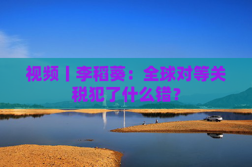 视频丨李稻葵：全球对等关税犯了什么错？  第1张
