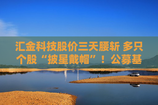 汇金科技股价三天腰斩 多只个股“披星戴帽”！公募基金如何“避雷”？  第1张