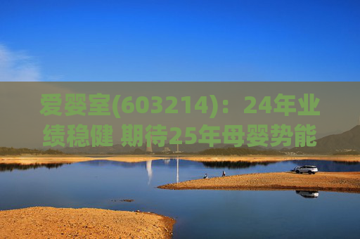 爱婴室(603214)：24年业绩稳健 期待25年母婴势能及万代门店加速  第1张