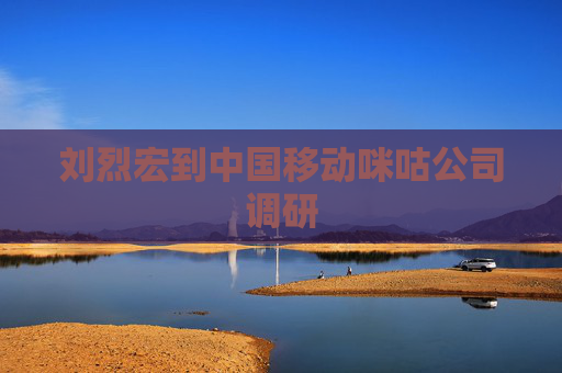 刘烈宏到中国移动咪咕公司调研  第1张