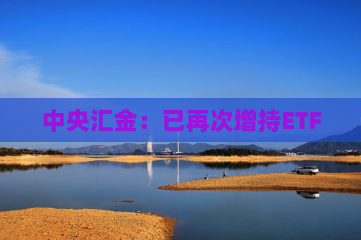 中央汇金：已再次增持ETF  第1张