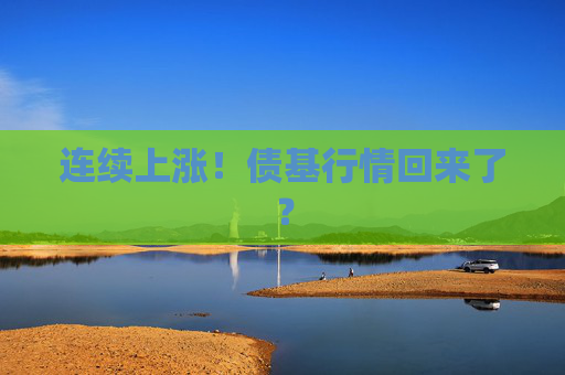 连续上涨！债基行情回来了？