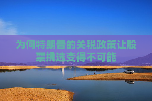 为何特朗普的关税政策让股票挑选变得不可能