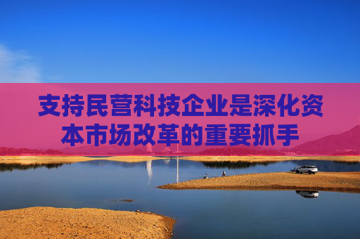 支持民营科技企业是深化资本市场改革的重要抓手  第1张