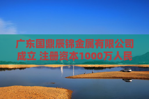 广东国鼎辰锦金属有限公司成立 注册资本1000万人民币