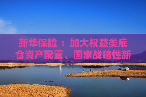 新华保险 ：加大权益类底仓资产配置、国家战略性新兴产业股权投资力度