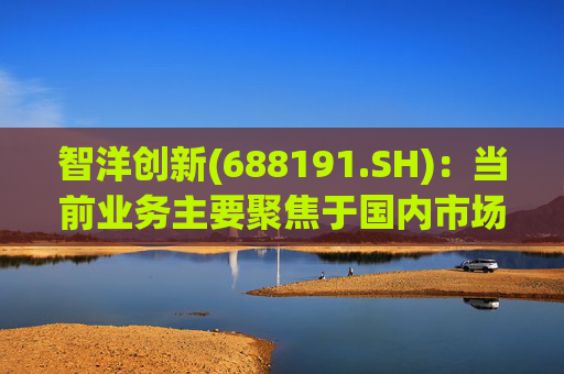 智洋创新(688191.SH)：当前业务主要聚焦于国内市场，尚未形成海外业务  第1张