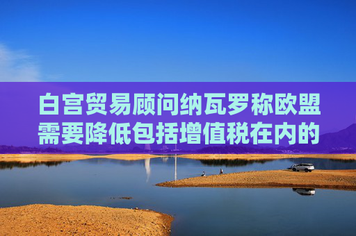 白宫贸易顾问纳瓦罗称欧盟需要降低包括增值税在内的非关税壁垒  第1张
