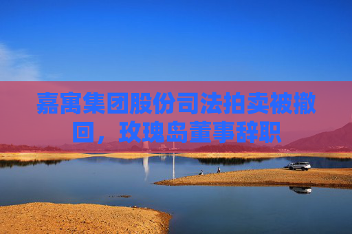 嘉寓集团股份司法拍卖被撤回，玫瑰岛董事辞职